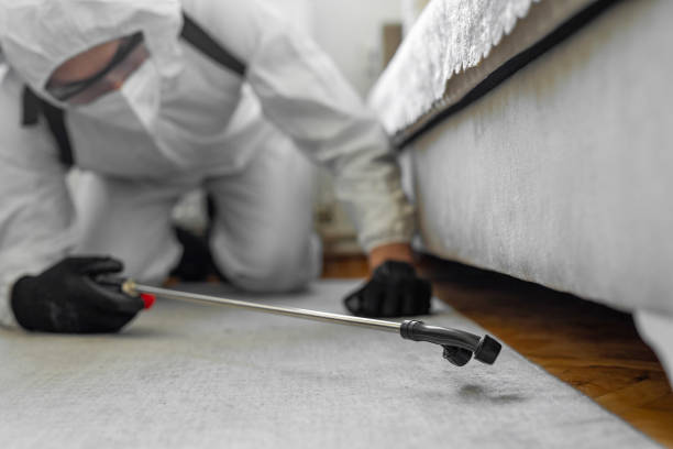 Professional Pest Control technician working in Baker County County, OR
